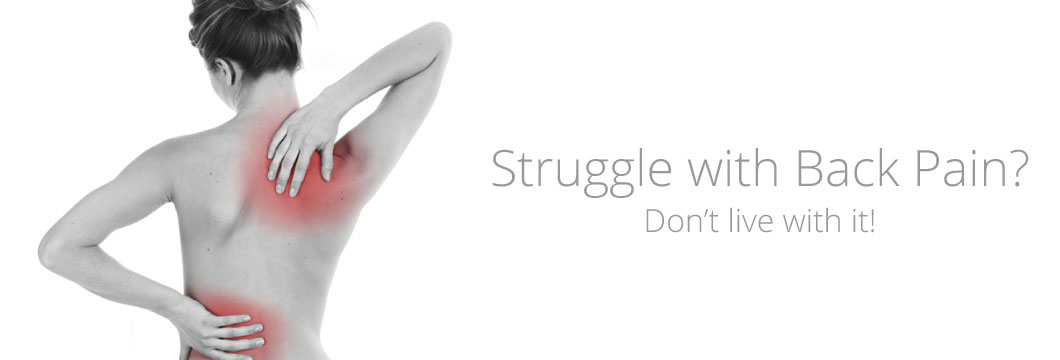 HHC Banner Image 1
